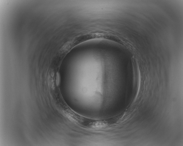 X0000053010223200507151956