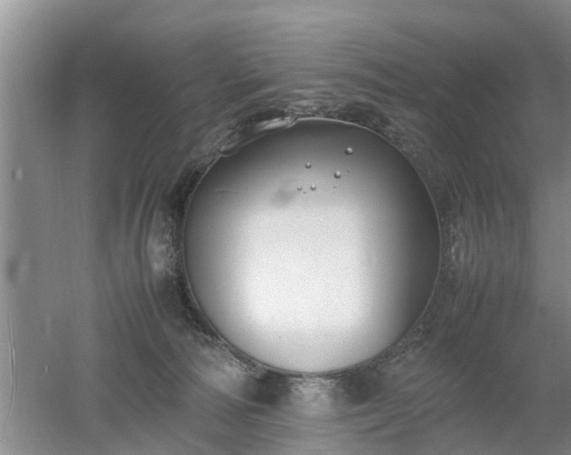 X0000053010226200507151956