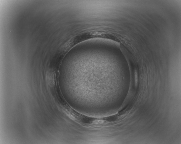 X0000053010227200507151956