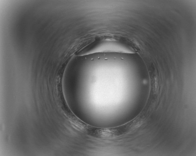 X0000053010229200507151956