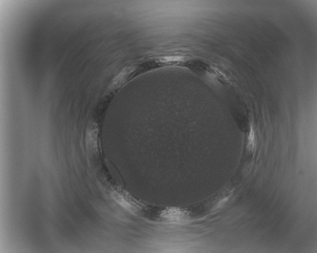 X0000053010231200507151956