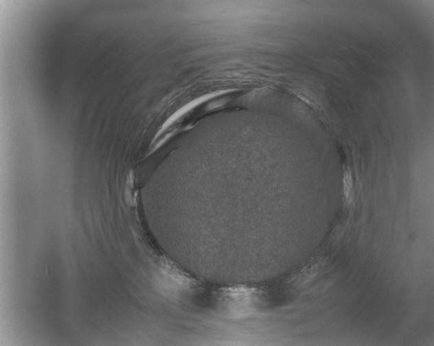 X0000053010233200507151956