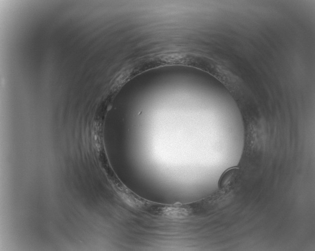 X0000053010234200507151956