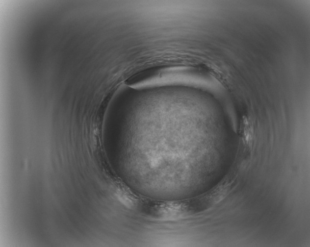 X0000053010235200507151956