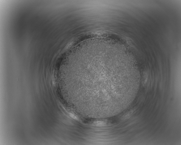 X0000053010236200507151956