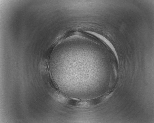 X0000053010237200507151956