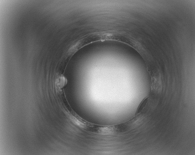 X0000053010238200507151956