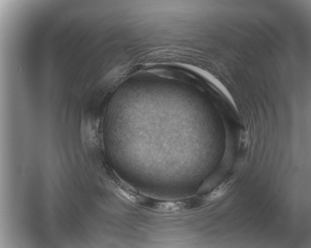 X0000053010239200507151956