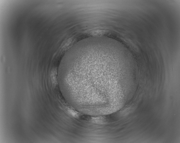 X0000053010240200507151956