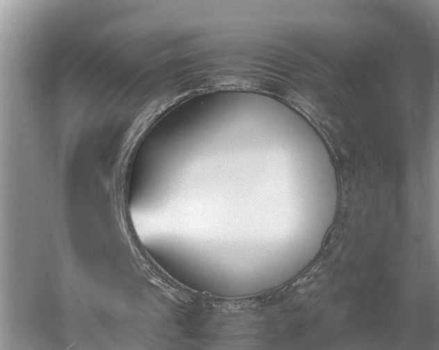 X0000053010241200507151955