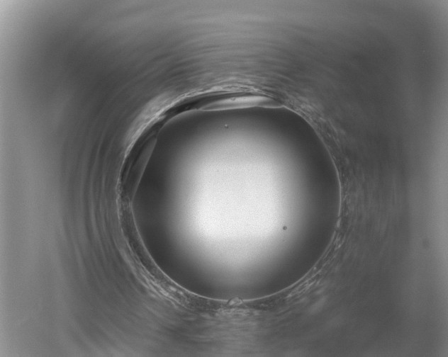 X0000053010242200507151955