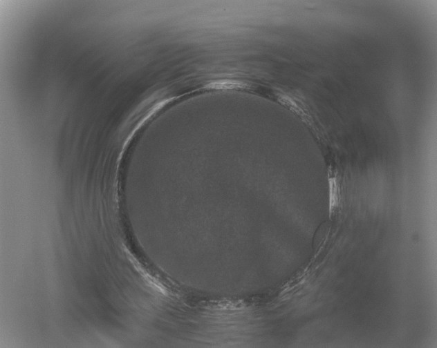 X0000053010243200507151955