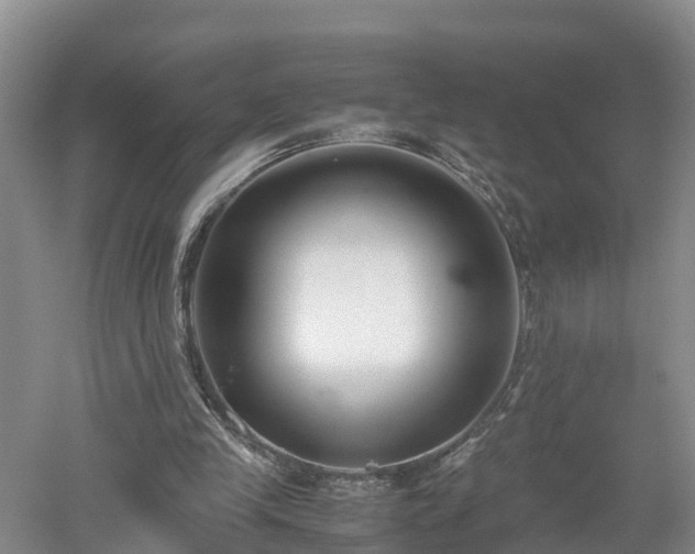 X0000053010245200507151955