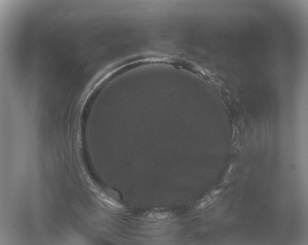 X0000053010247200507151955