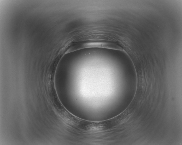 X0000053010263200507151955