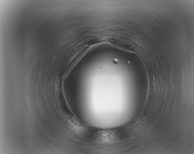 X0000053010275200507151955