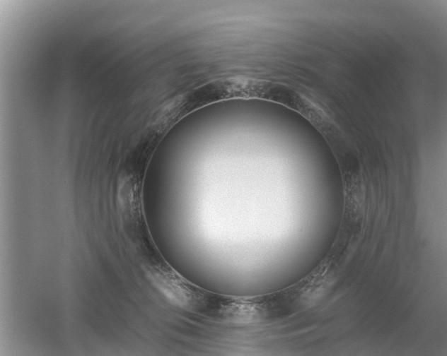 X0000053010276200507151955