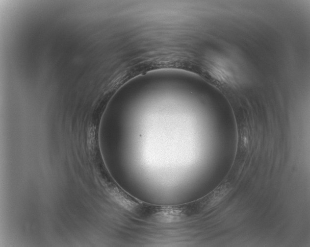 X0000053010278200507151955