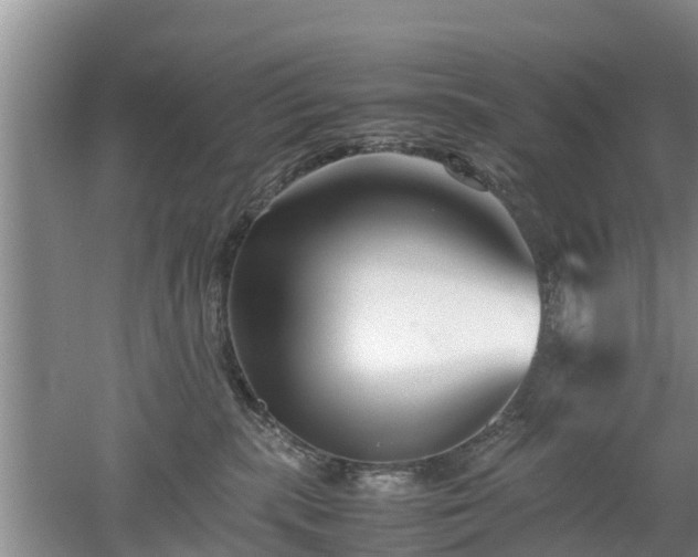 X0000053010283200507151955