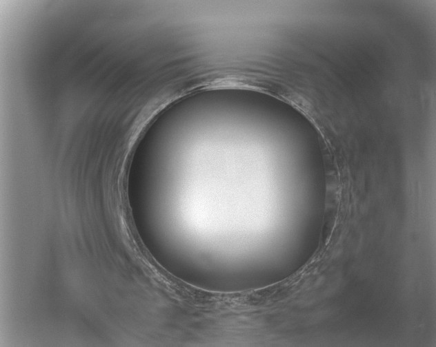 X0000053010289200507151955