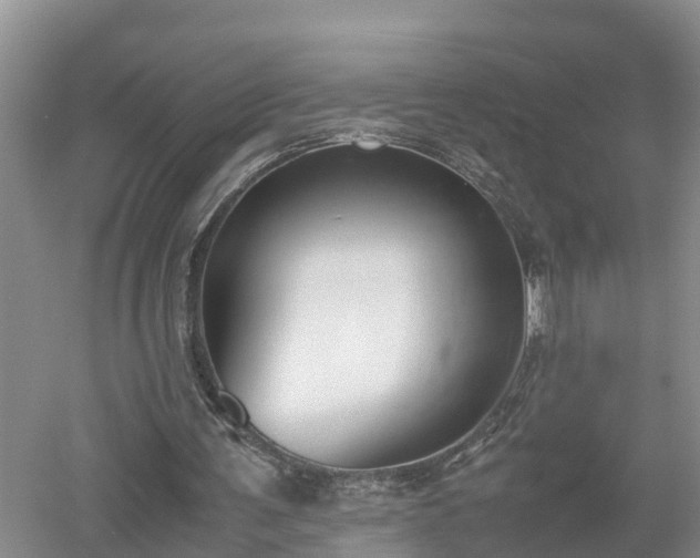 X0000053010291200507151955