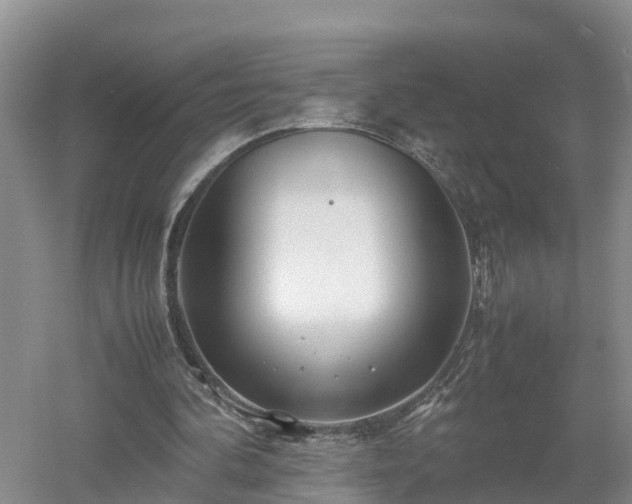 X0000053010292200507151955