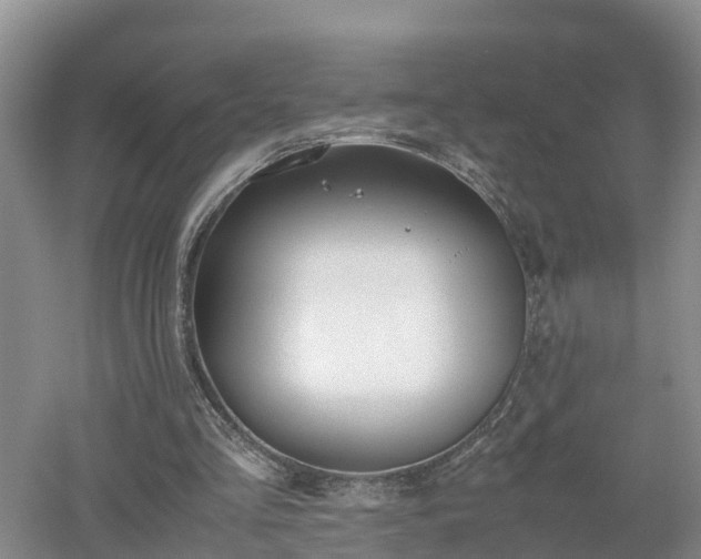 X0000053010293200507151955