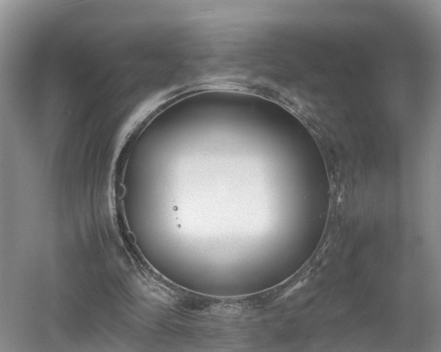 X0000053010294200507151955