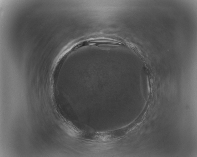 X0000053010295200507151955