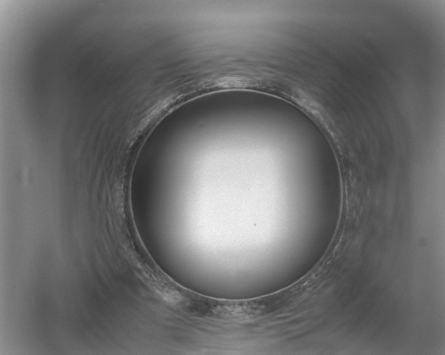 X0000053010297200507151955