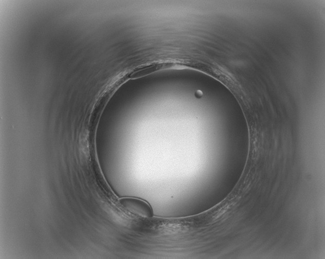 X0000053010298200507151955