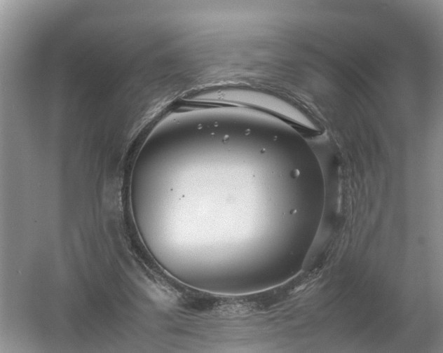 X0000053010299200507151955