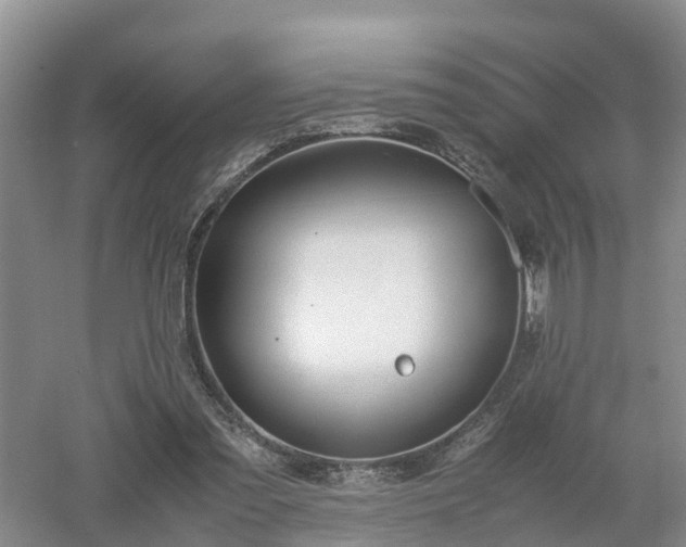 X0000053010301200507151955