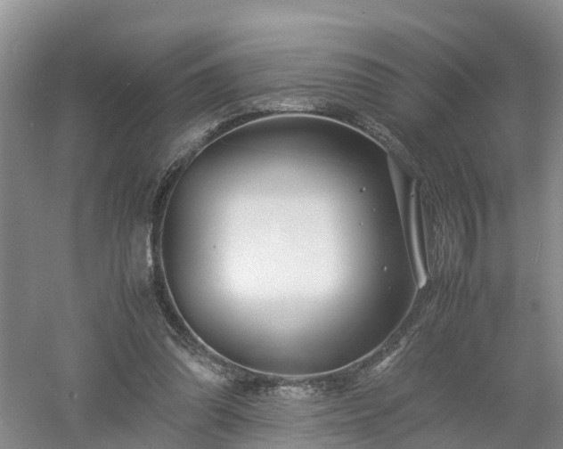 X0000053010302200507151955