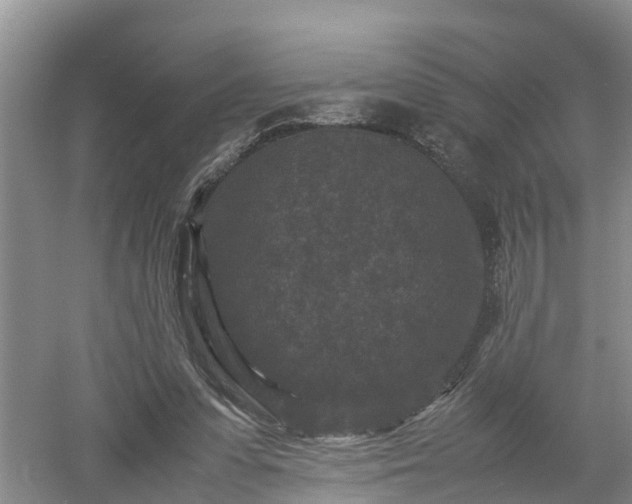 X0000053010303200507151955