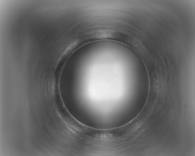 X0000053010304200507151955