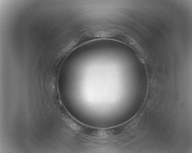 X0000053010305200507151954