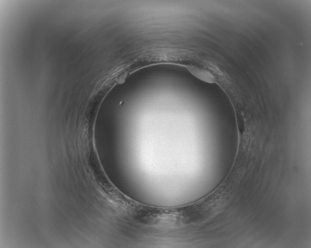 X0000053010306200507151954