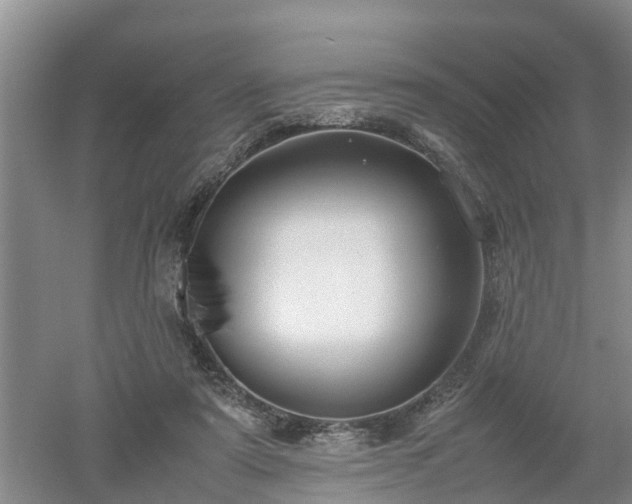 X0000053010307200507151954