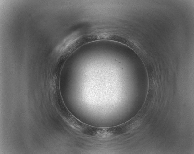 X0000053010311200507151954