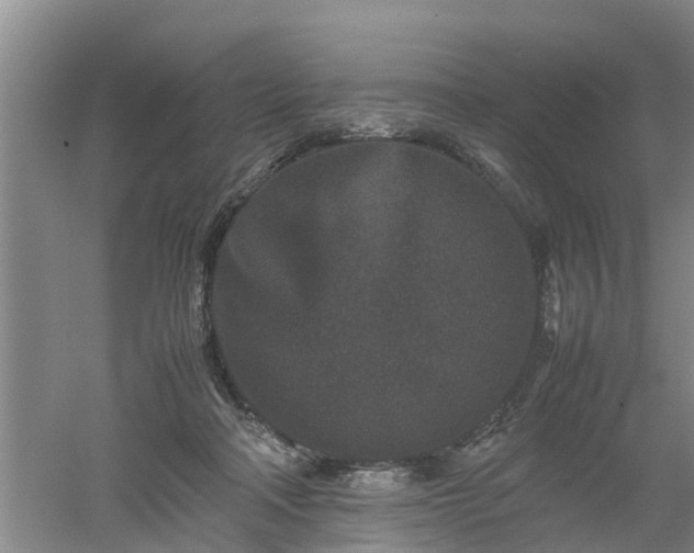 X0000053010314200507151954