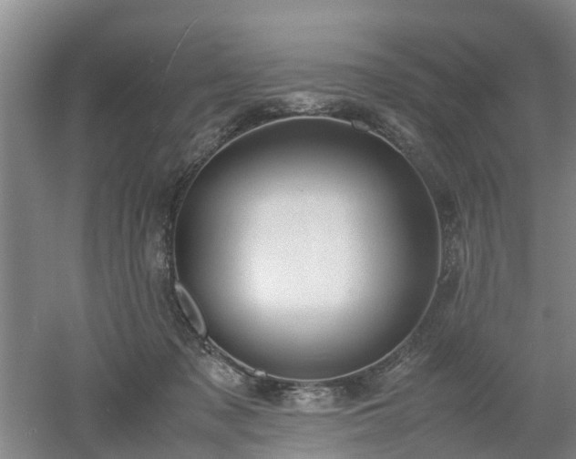 X0000053010317200507151954