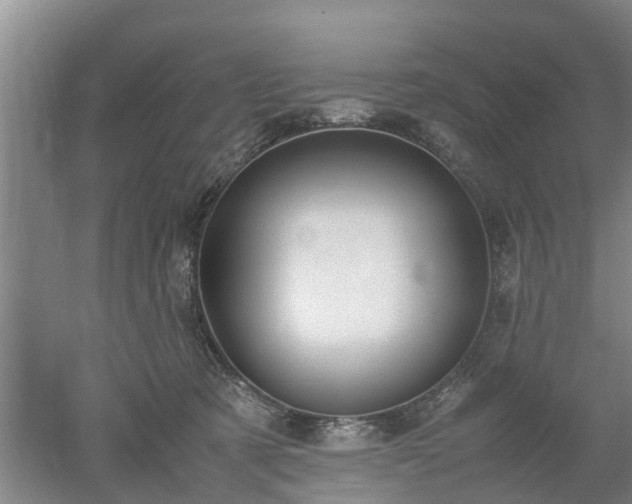 X0000053010321200507151954