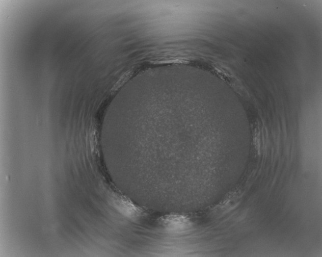 X0000053010322200507151954