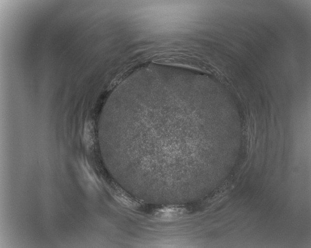 X0000053010323200507151954