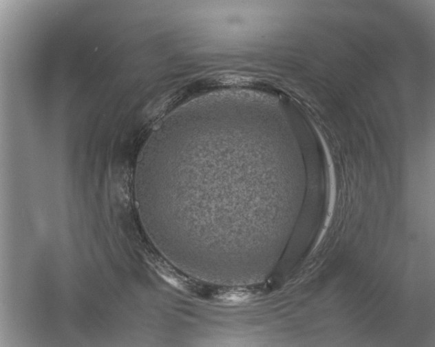 X0000053010325200507151954