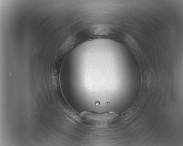 X0000053010328200507151954