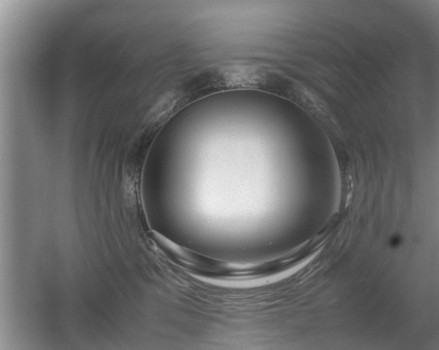 X0000053010329200507151954