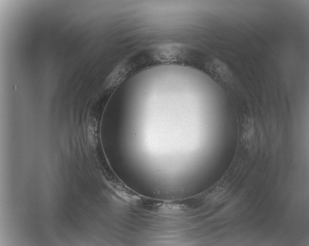 X0000053010332200507151954