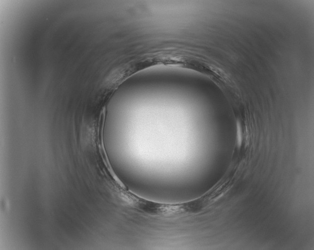 X0000053010333200507151954